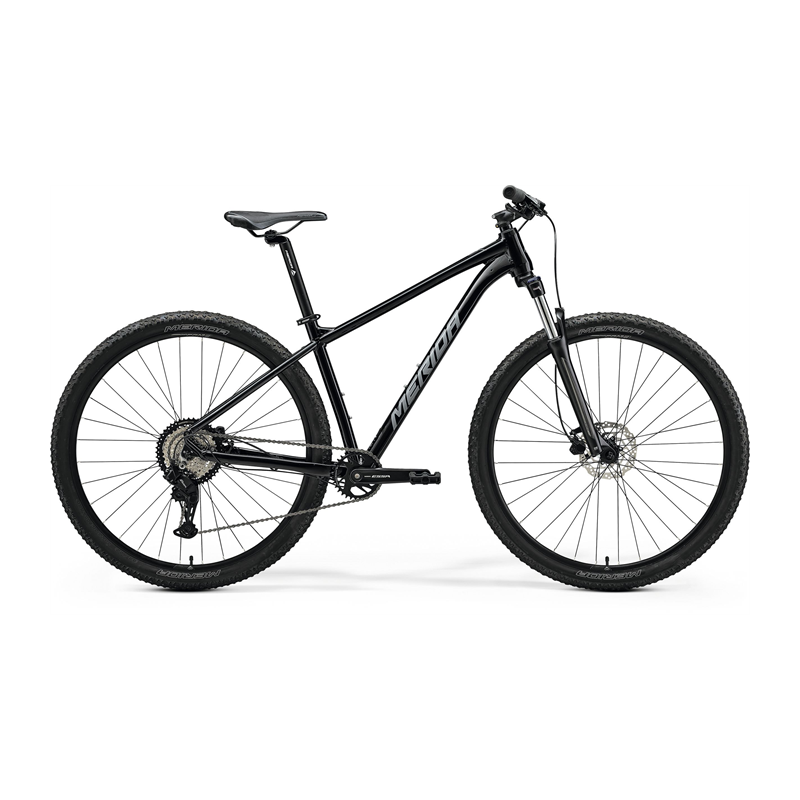 Merida BIG.NINE 20  2025