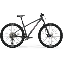 MERIDA BIG.NINE TR 700