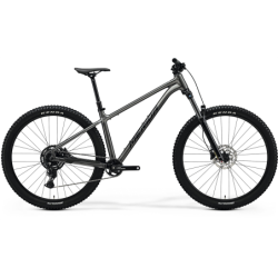 MERIDA BIG.TRAIL 300