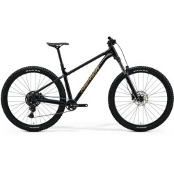 MERIDA BIG.TRAIL 300