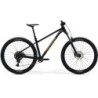 MERIDA BIG.TRAIL 300