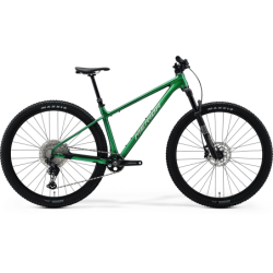 MERIDA BIG.NINE TR LIMITED