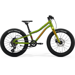 Merida MATTS J. 20+