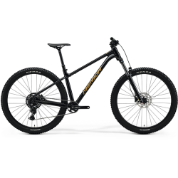 Merida BIG.TRAIL 300 2025