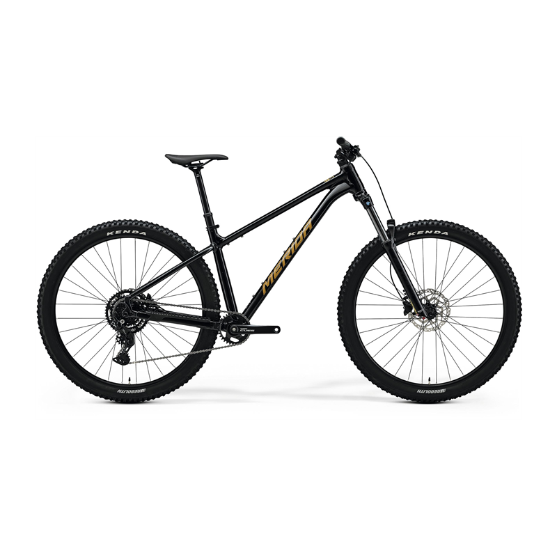 Merida BIG.TRAIL 300 2025