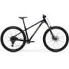 Merida BIG.TRAIL 300 2025