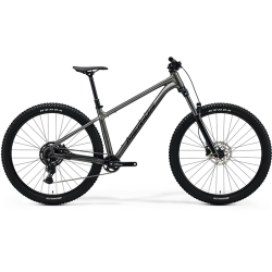 Merida BIG.TRAIL 300 2025