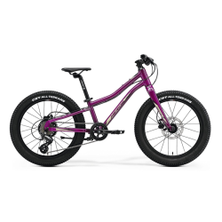 Merida Matts J.20+ 2021