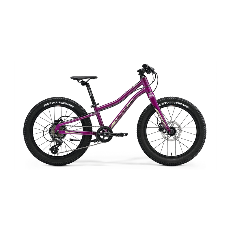 Merida Matts J.20+ 2021