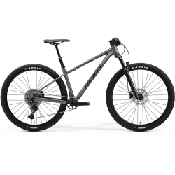 MERIDA BIG.NINE TR 600 2024
