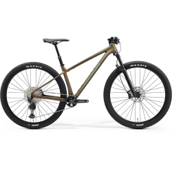 MERIDA BIG.NINE TR LIMITED...