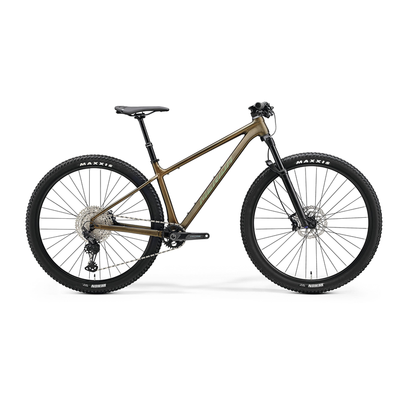 MERIDA BIG.NINE TR LIMITED  2024