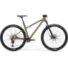 MERIDA BIG.NINE TR LIMITED  2024
